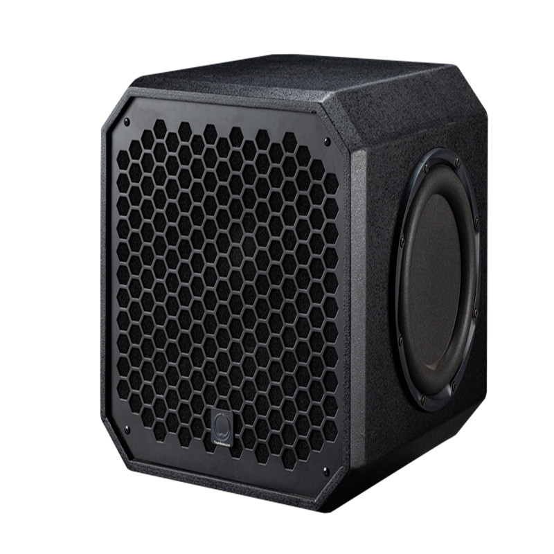 Profesyonel 12 İnç Aktif DJ Ho - Outdoor Power Amplifier incelemesi ve fiyatı